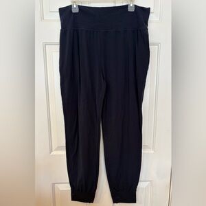 Athleta Pants Womens XL Tall Blue Stretch Salutation Jogger In Powervita